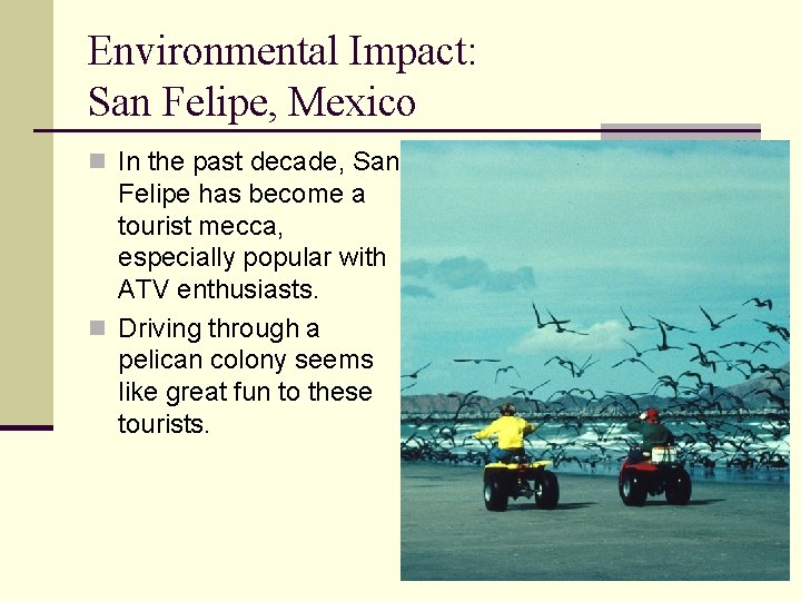 Environmental Impact: San Felipe, Mexico n In the past decade, San Felipe has become