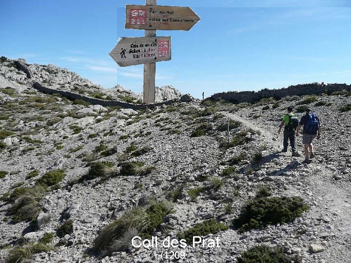 Coll des Prat (1209 