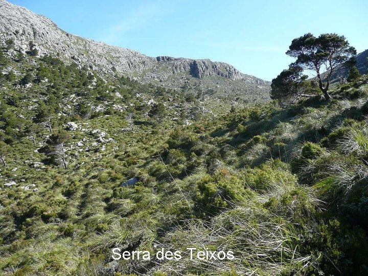 Serra des Teixos 