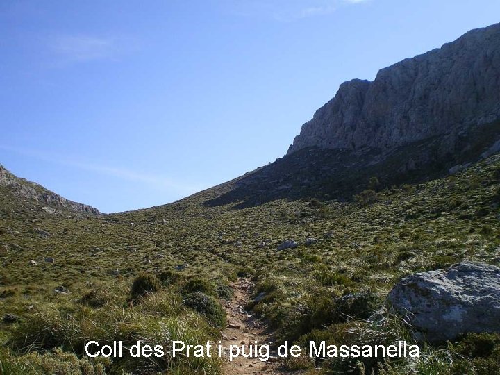 Coll des Prat i puig de Massanella 