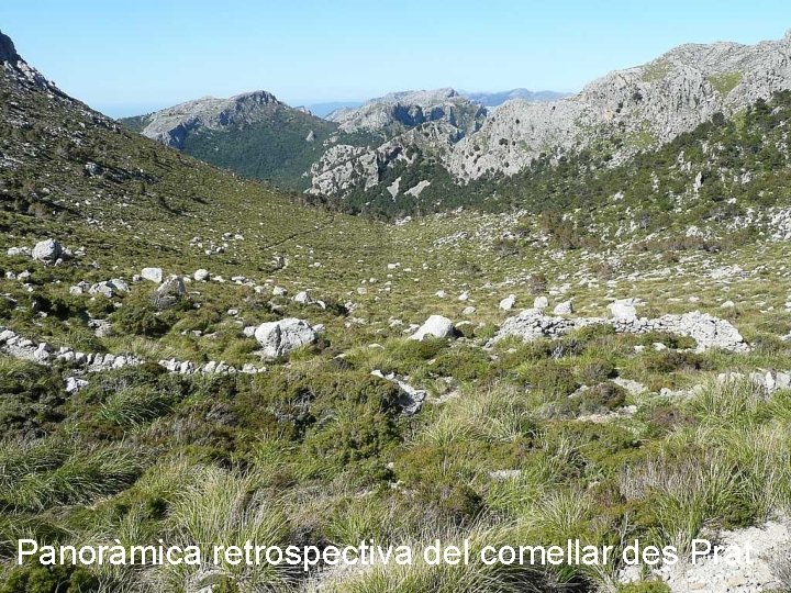 Panoràmica retrospectiva del comellar des Prat 