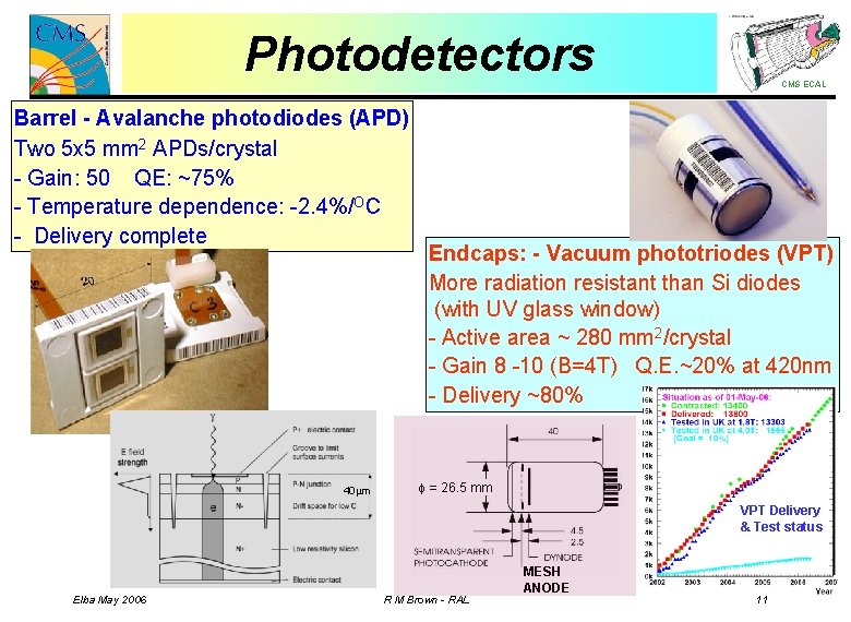 Photodetectors Barrel - Avalanche photodiodes (APD) Two 5 x 5 mm 2 APDs/crystal -