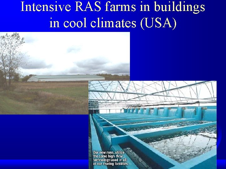 Intensive RAS farms in buildings in cool climates (USA) 