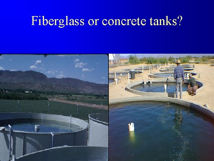 Fiberglass or concrete tanks? 