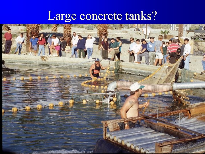 Large concrete tanks? 