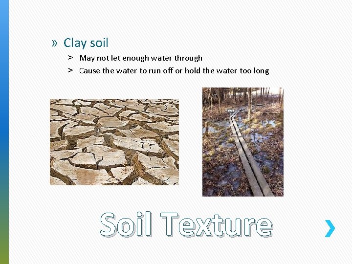 » Clay soil ˃ May not let enough water through ˃ Cause the water