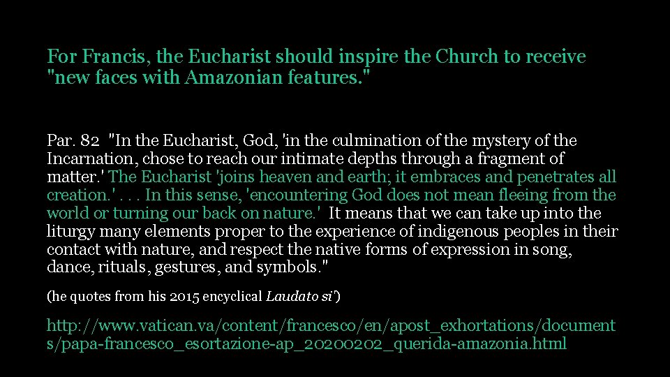 For Francis, the Eucharist should inspire the Church to receive "new faces with Amazonian