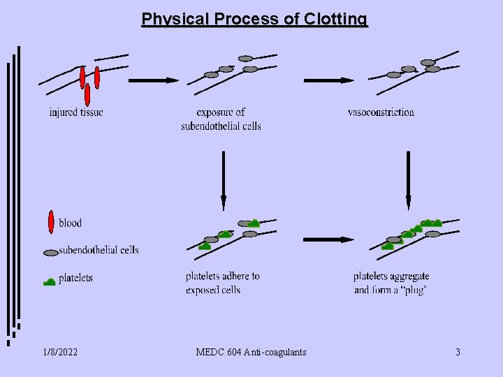 Physical Process of Clotting 1/8/2022 MEDC 604 Anti-coagulants 3 