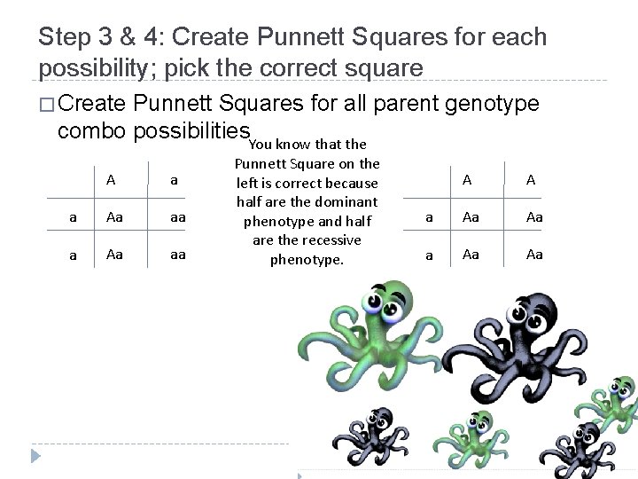 Step 3 & 4: Create Punnett Squares for each possibility; pick the correct square