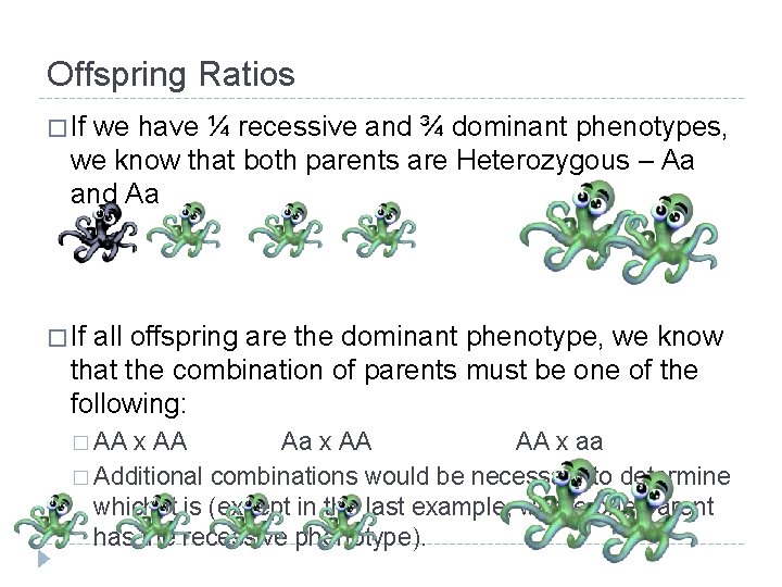 Offspring Ratios � If we have ¼ recessive and ¾ dominant phenotypes, we know