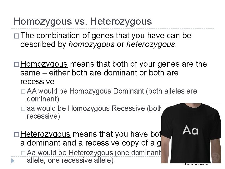 Homozygous vs. Heterozygous � The combination of genes that you have can be described