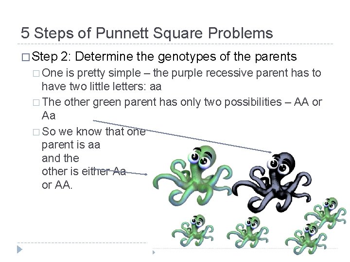 5 Steps of Punnett Square Problems � Step 2: Determine the genotypes of the
