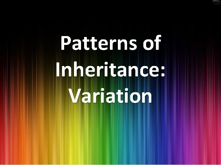Patterns of Inheritance: Variation 