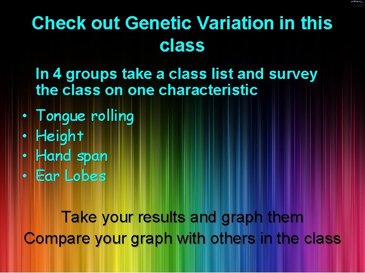 Check out Genetic Variation in this class In 4 groups take a class list