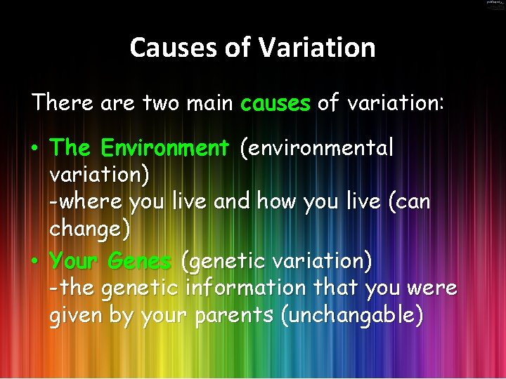 Causes of Variation There are two main causes of variation: • The Environment (environmental