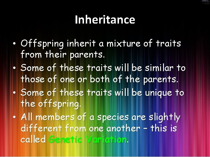 Inheritance • Offspring inherit a mixture of traits from their parents. • Some of
