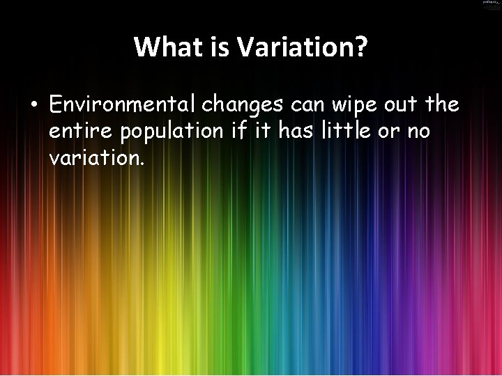 What is Variation? • Environmental changes can wipe out the entire population if it