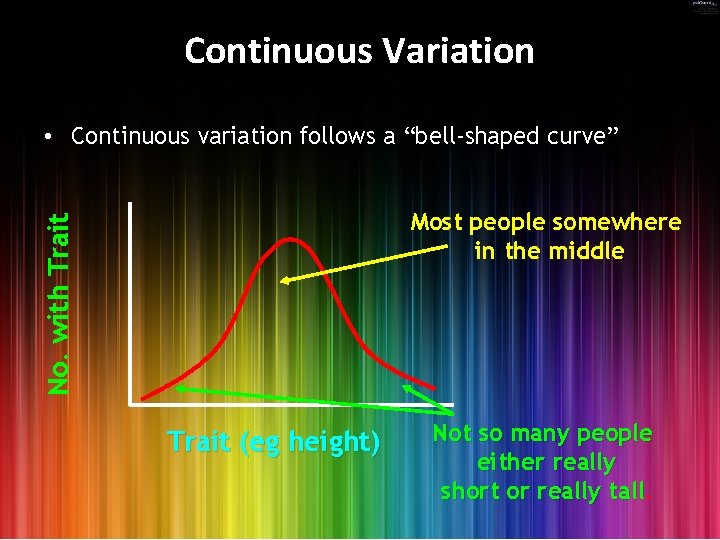 Continuous Variation • Continuous variation follows a “bell-shaped curve” No. with Trait Most people