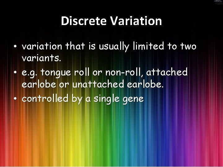 Discrete Variation • variation that is usually limited to two variants. • e. g.