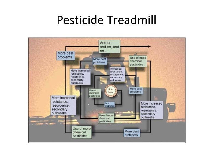 Pesticide Treadmill 