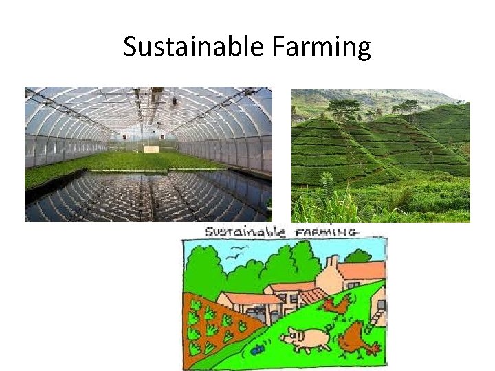 Sustainable Farming 