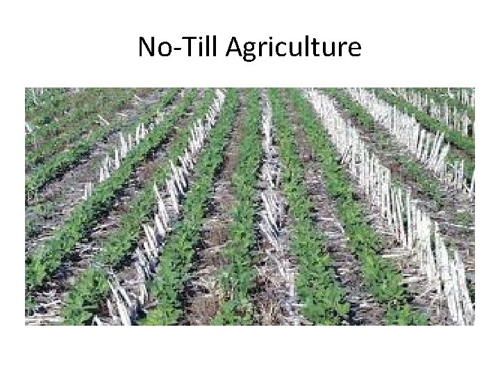 No-Till Agriculture 