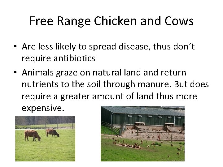Free Range Chicken and Cows • Are less likely to spread disease, thus don’t