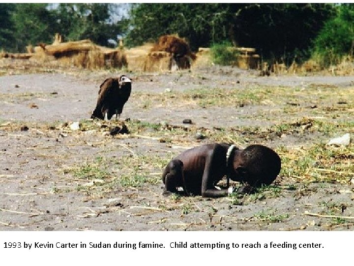 1993 by Kevin Carter in Sudan during famine. Child attempting to reach a feeding