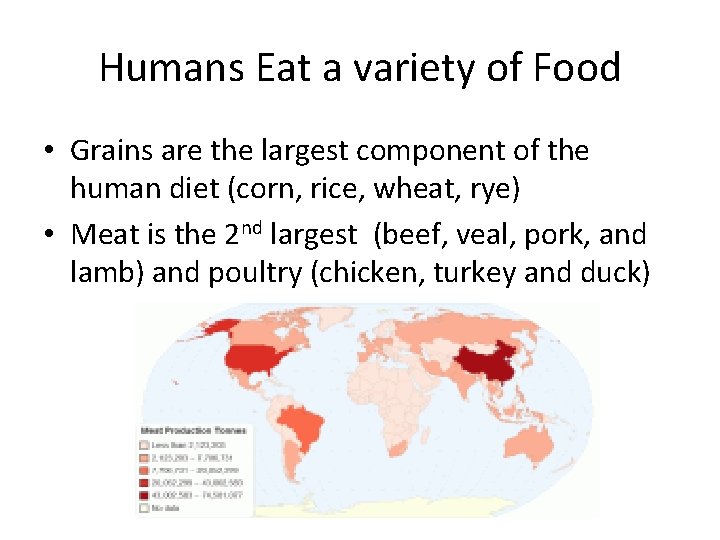 Humans Eat a variety of Food • Grains are the largest component of the