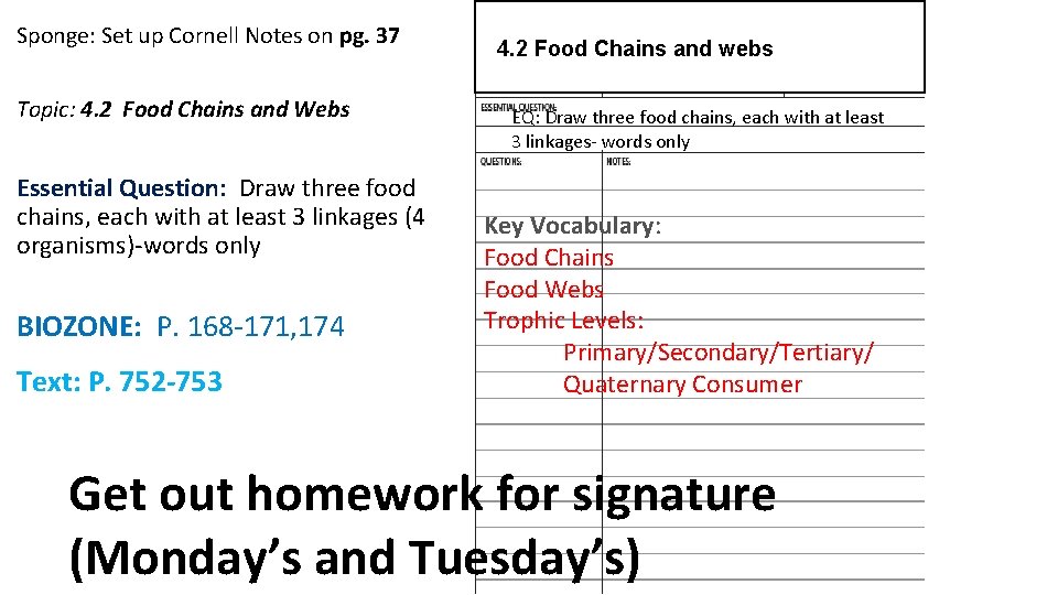 Sponge: Set up Cornell Notes on pg. 37 Topic: 4. 2 Food Chains and