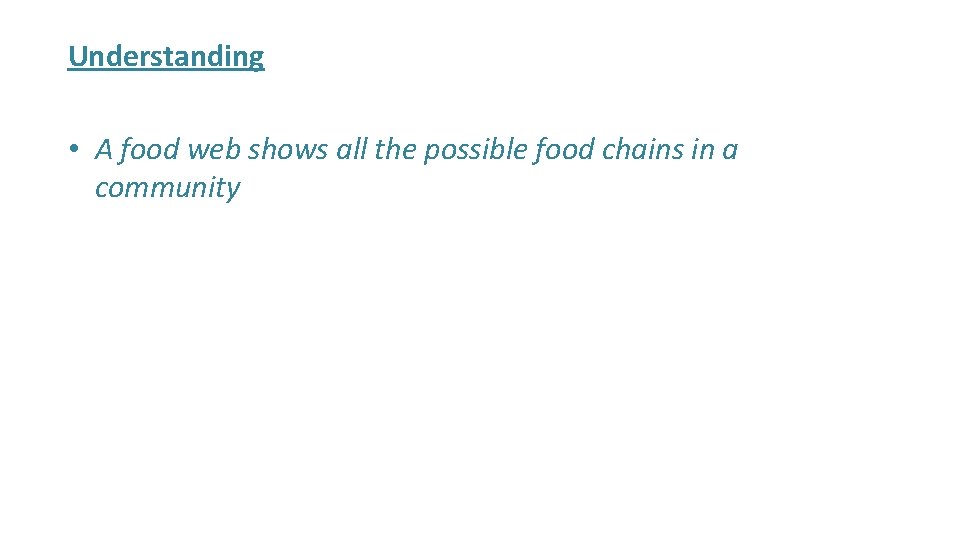 Understanding • A food web shows all the possible food chains in a community