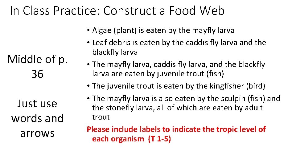 In Class Practice: Construct a Food Web Middle of p. 36 Just use words