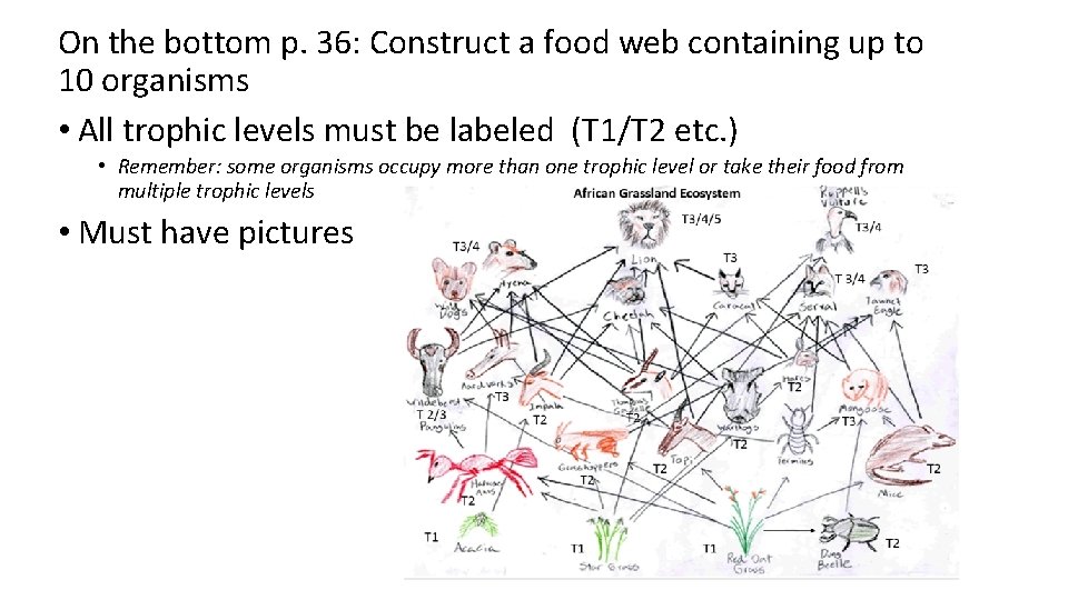 On the bottom p. 36: Construct a food web containing up to 10 organisms