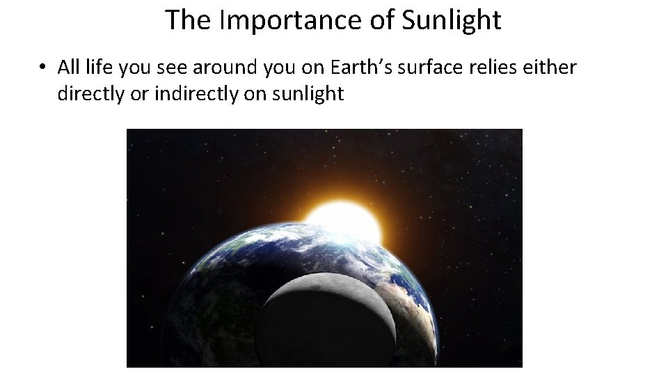 The Importance of Sunlight • All life you see around you on Earth’s surface