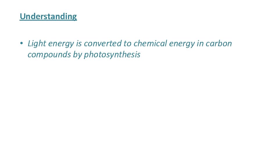 Understanding • Light energy is converted to chemical energy in carbon compounds by photosynthesis