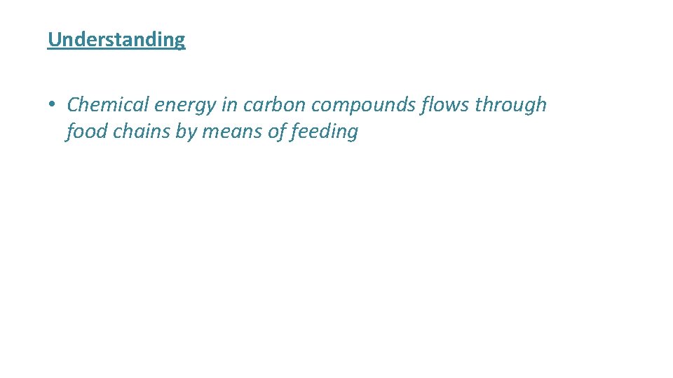 Understanding • Chemical energy in carbon compounds flows through food chains by means of