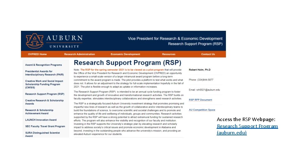 Access the RSP Webpage: Research Support Program (auburn. edu) 