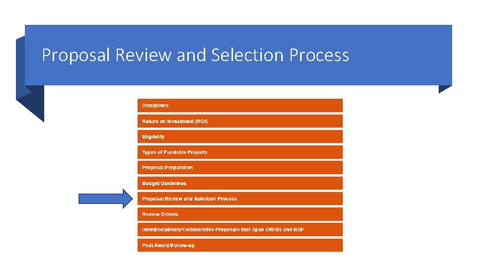Proposal Review and Selection Process 