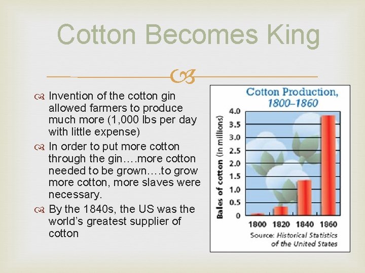 Cotton Becomes King Invention of the cotton gin allowed farmers to produce much more