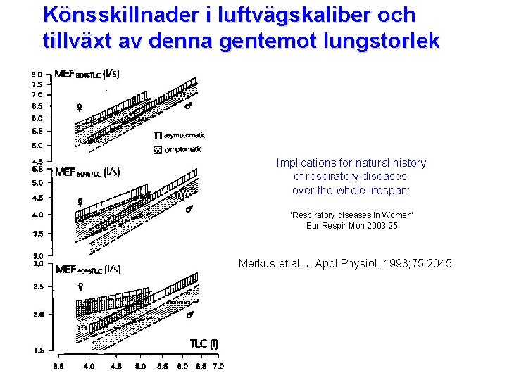 Könsskillnader i luftvägskaliber och tillväxt av denna gentemot lungstorlek Implications for natural history of