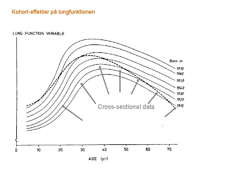 Kohort-effekter på lungfunktionen Cross-sectional data 