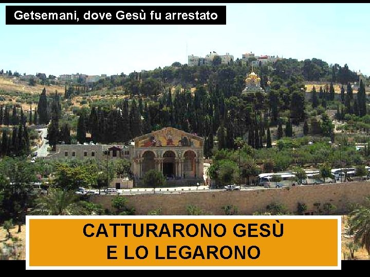 Getsemani, dove Gesù fu arrestato CATTURARONO GESÙ E LO LEGARONO 