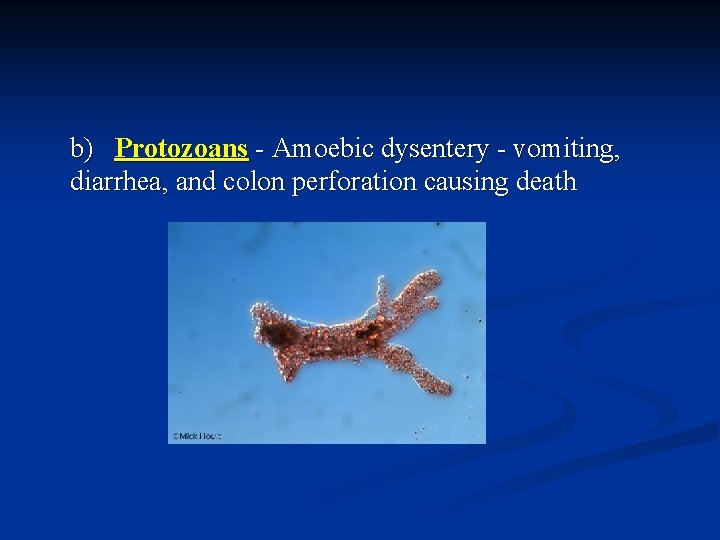 b) Protozoans - Amoebic dysentery - vomiting, diarrhea, and colon perforation causing death 