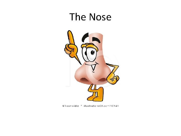 The Nose 