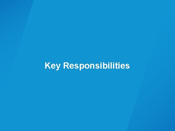 Key Responsibilities 