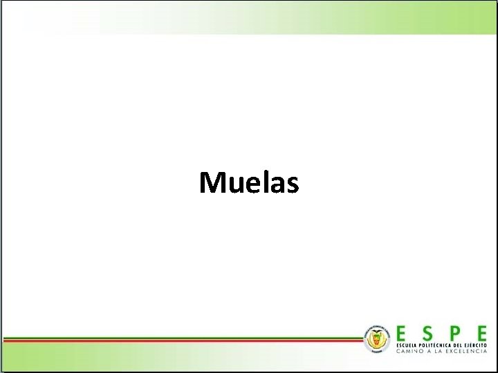 Muelas 