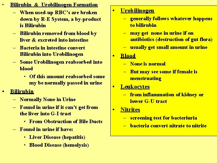  • Bilirubin & Urobilinogen Formation – When used-up RBC’s are broken down by