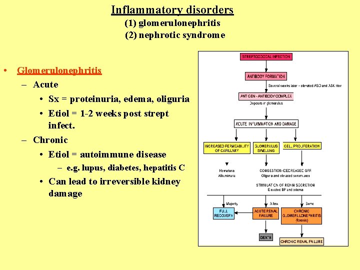 Inflammatory disorders (1) glomerulonephritis (2) nephrotic syndrome • Glomerulonephritis – Acute • Sx =