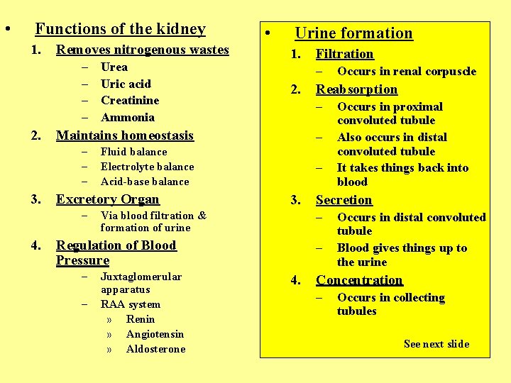  • Functions of the kidney 1. Removes nitrogenous wastes – – 2. 1.