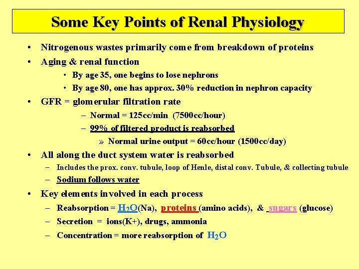 Some Key Points of Renal Physiology • Nitrogenous wastes primarily come from breakdown of